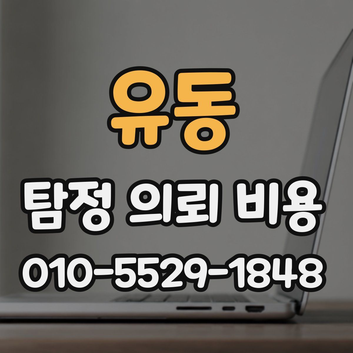 유동 탐정 의뢰 비용