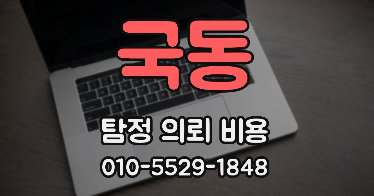 국동 탐정 의뢰 비용