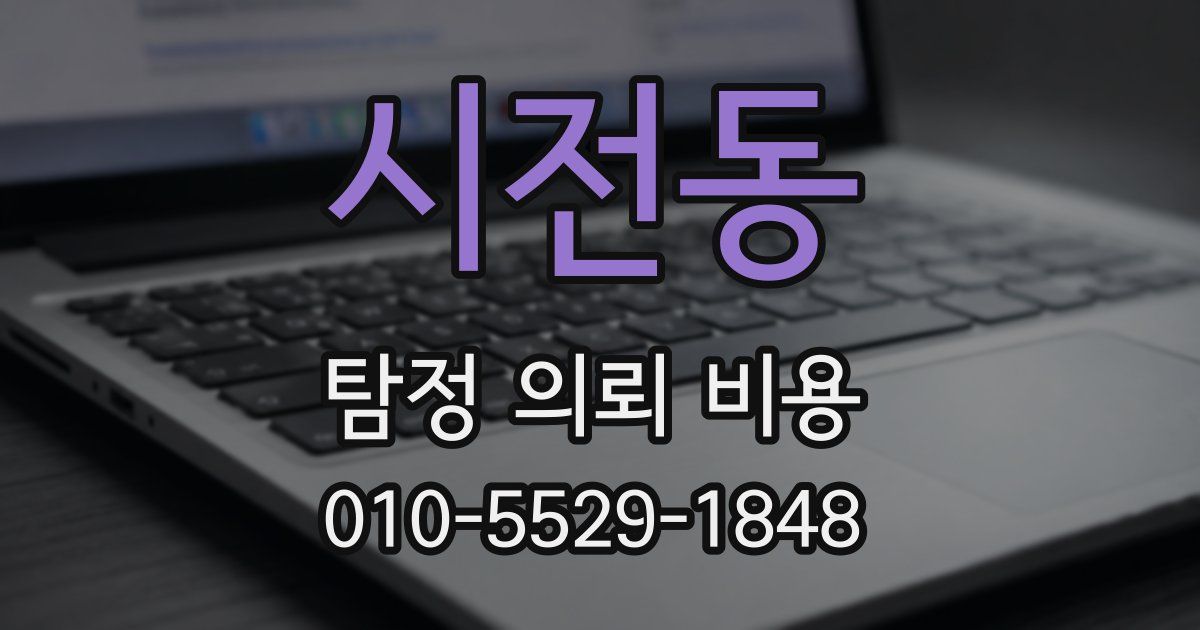 시전동 탐정 의뢰 비용