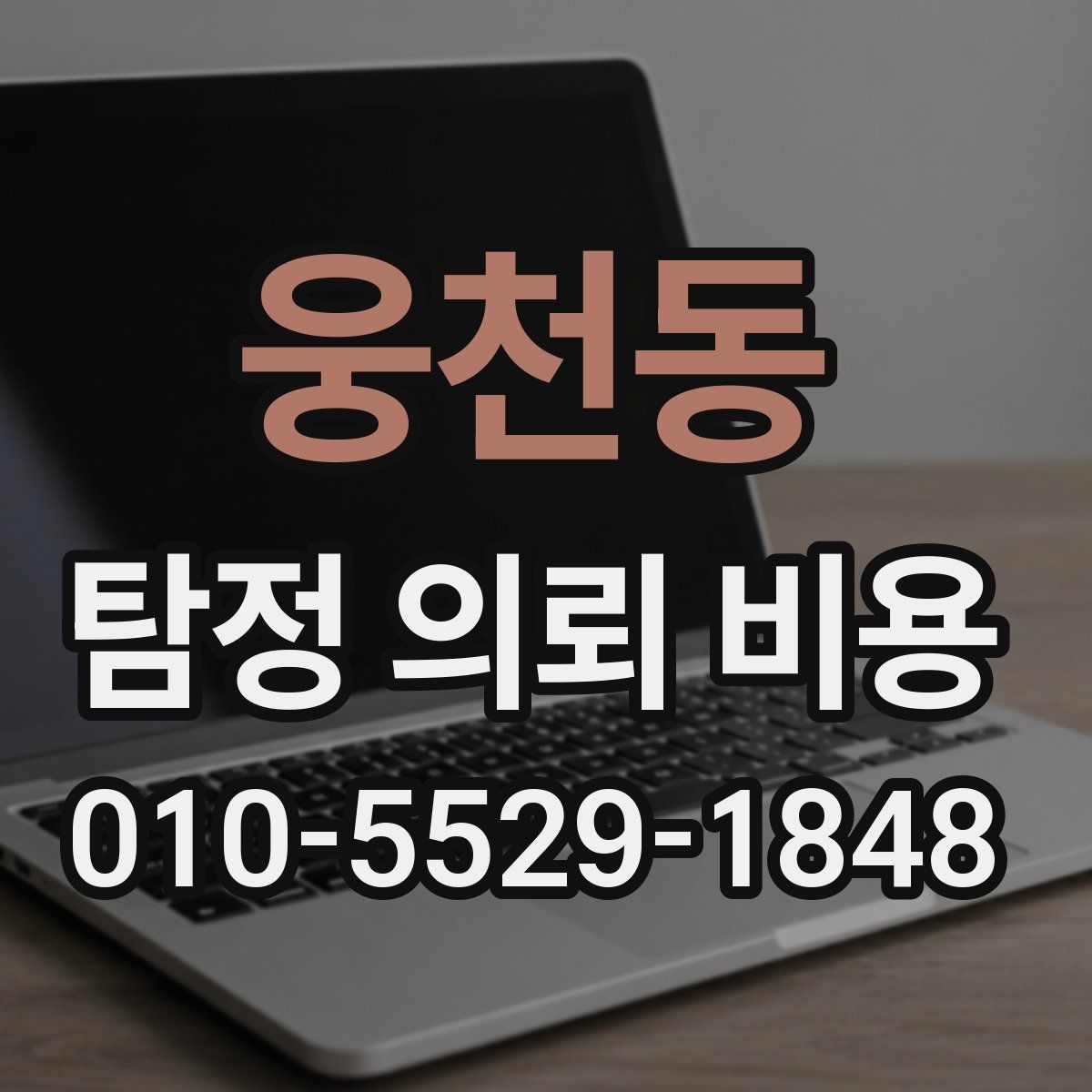 웅천동 탐정 의뢰 비용