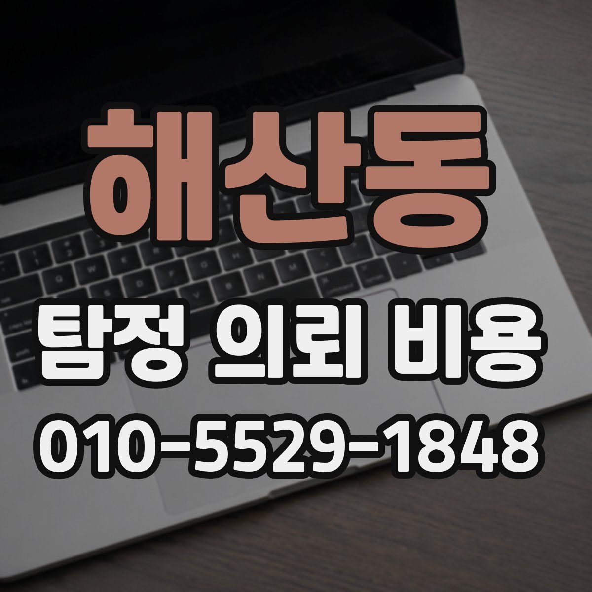 해산동 탐정 의뢰 비용
