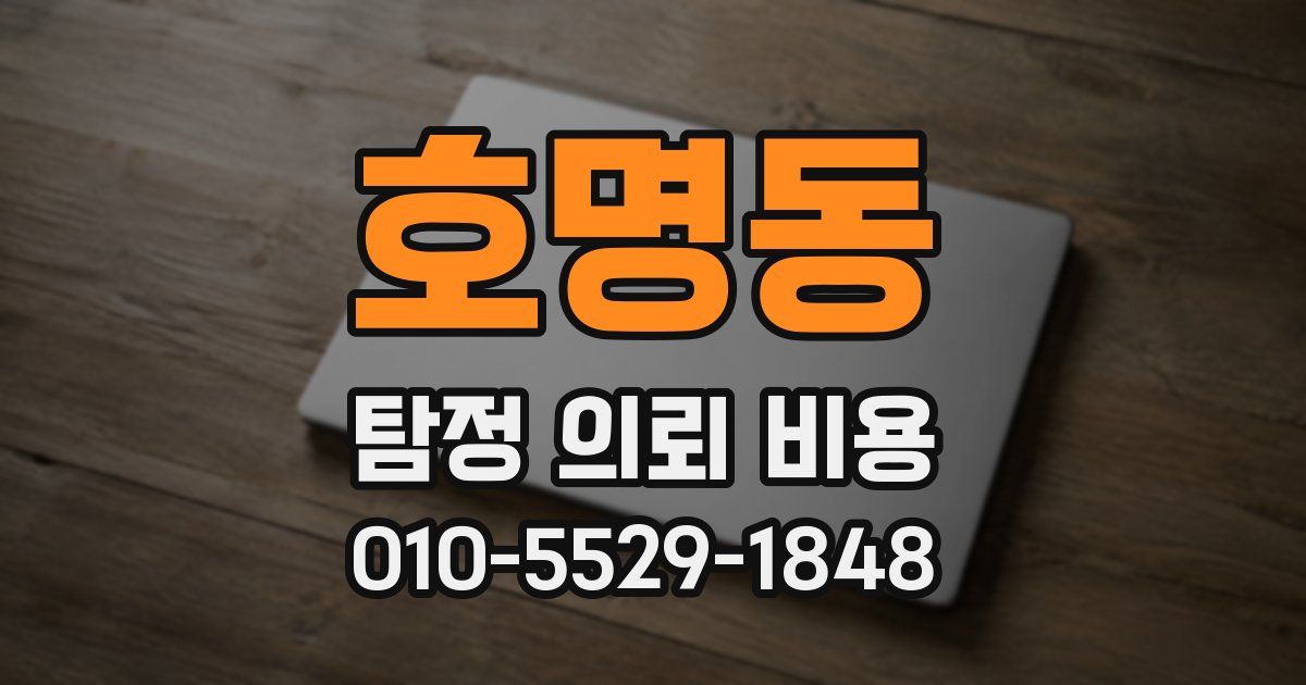 호명동 탐정 의뢰 비용