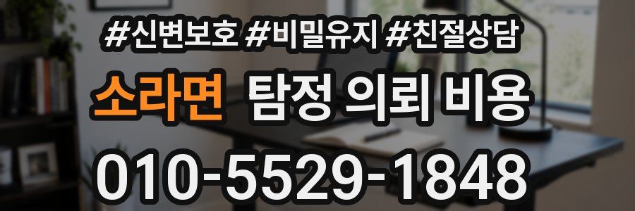 소라면 탐정 의뢰 비용