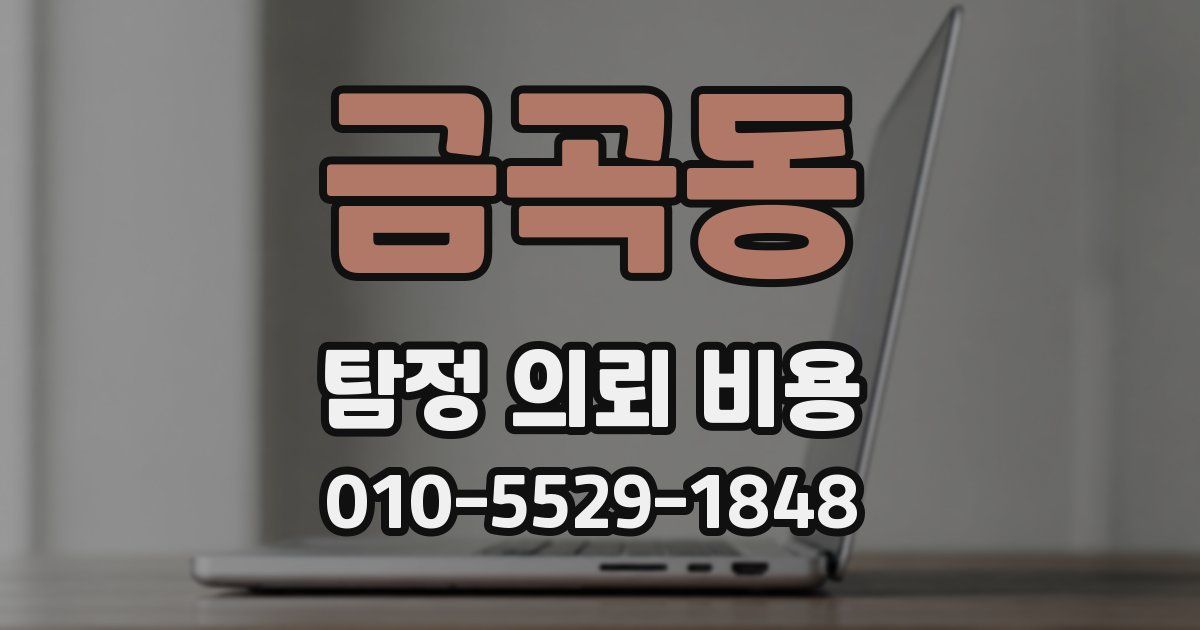 금곡동 탐정 의뢰 비용