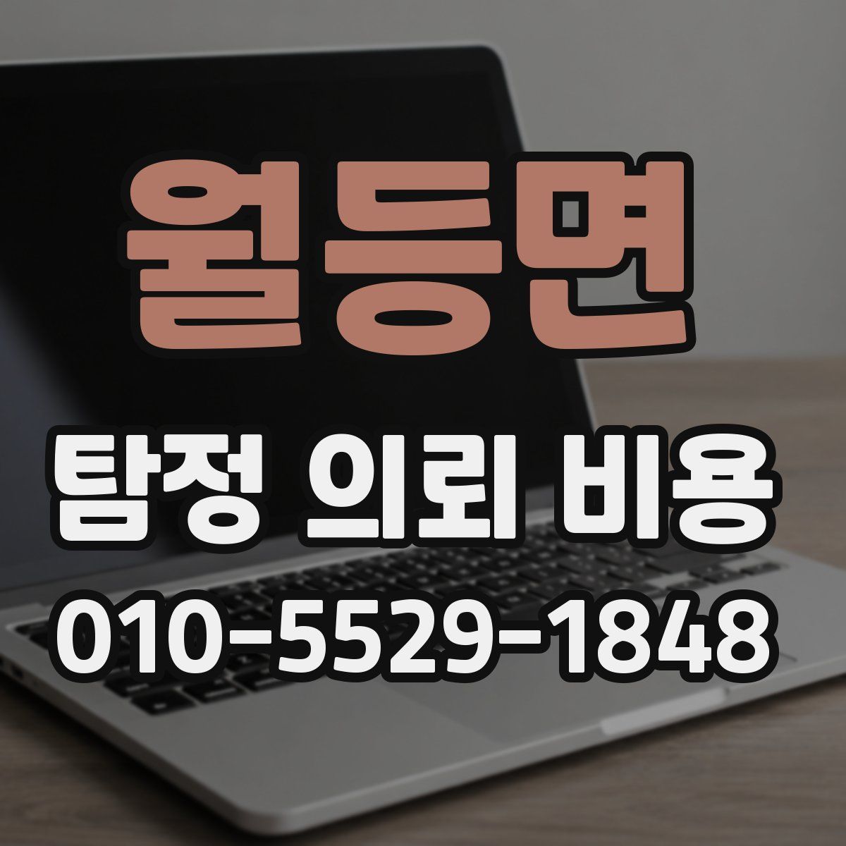 월등면 탐정 의뢰 비용
