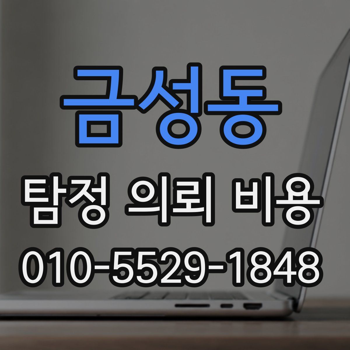 금성동 탐정 의뢰 비용