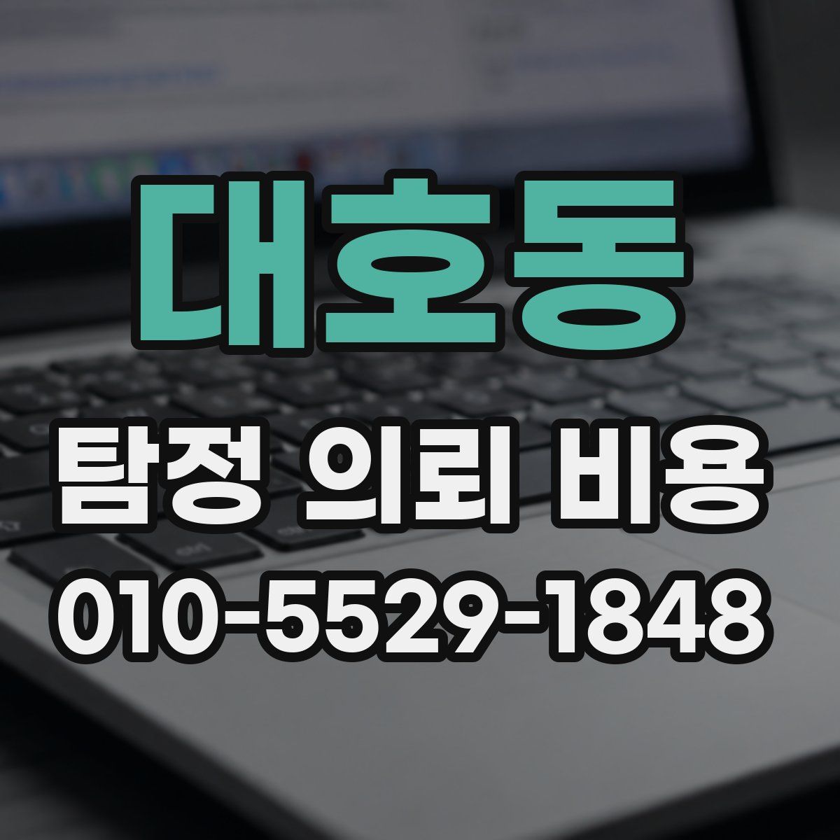 대호동 탐정 의뢰 비용