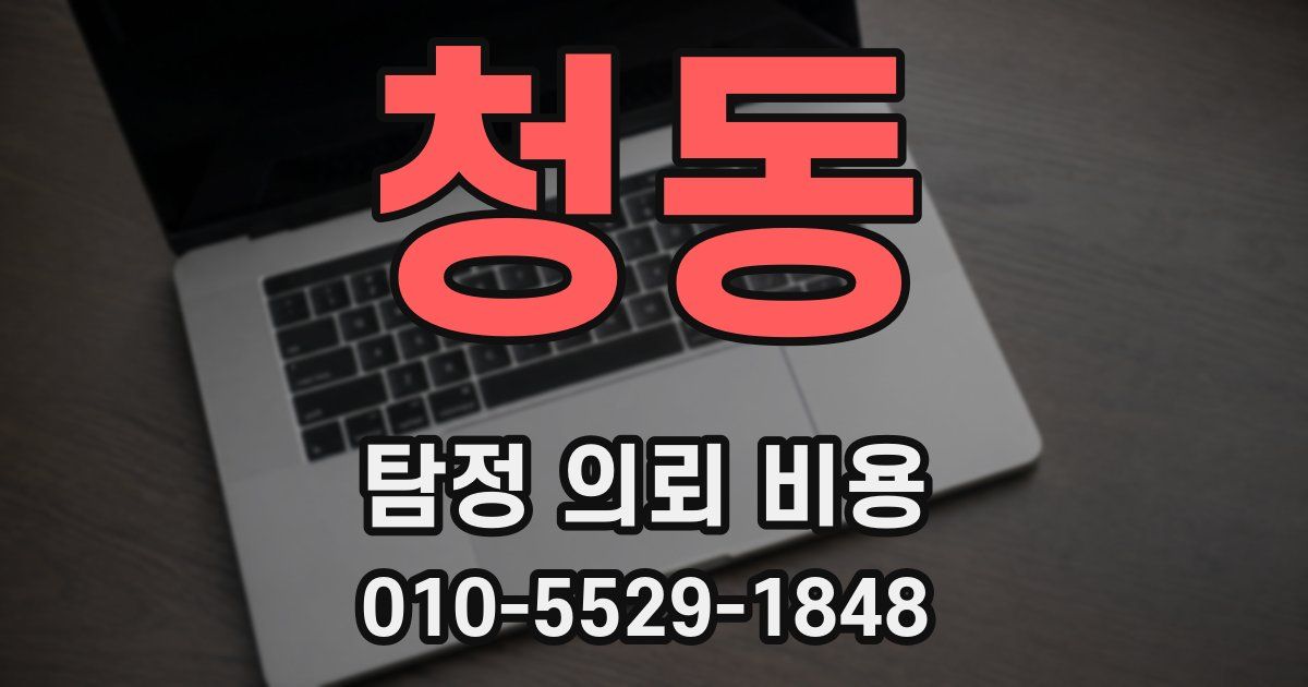 청동 탐정 의뢰 비용