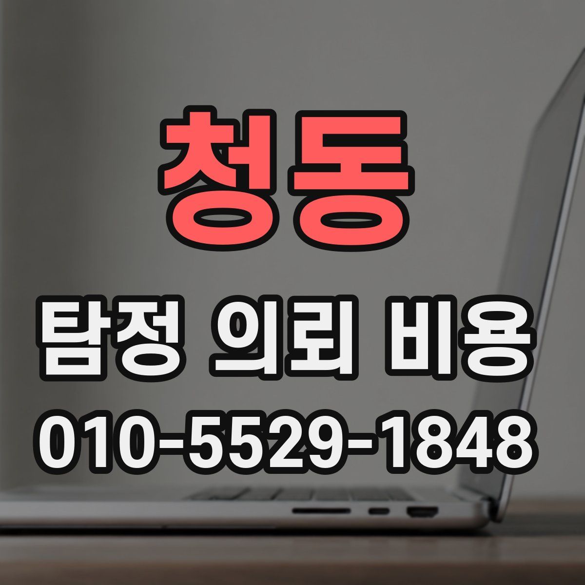 청동 탐정 의뢰 비용