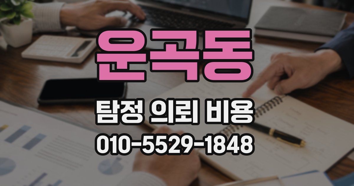 운곡동 탐정 의뢰 비용