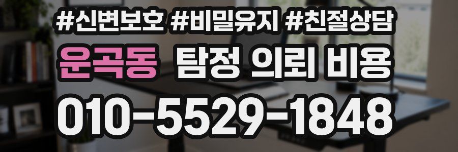 운곡동 탐정 의뢰 비용