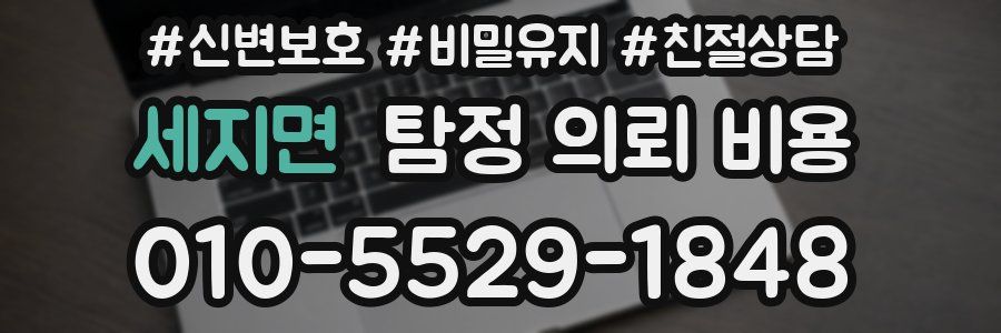 세지면 탐정 의뢰 비용