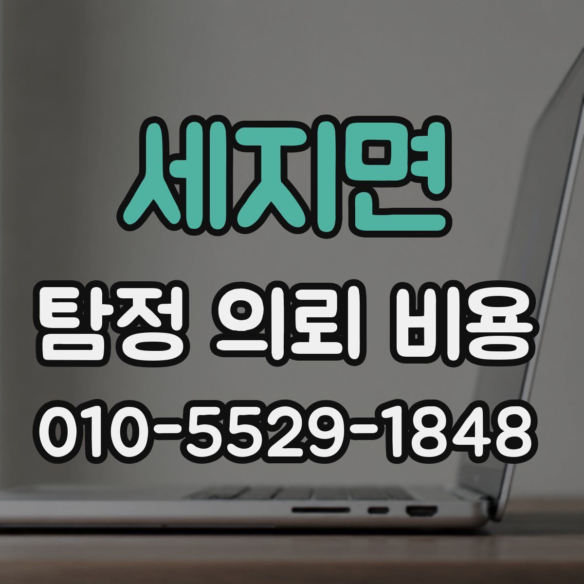 세지면 탐정 의뢰 비용