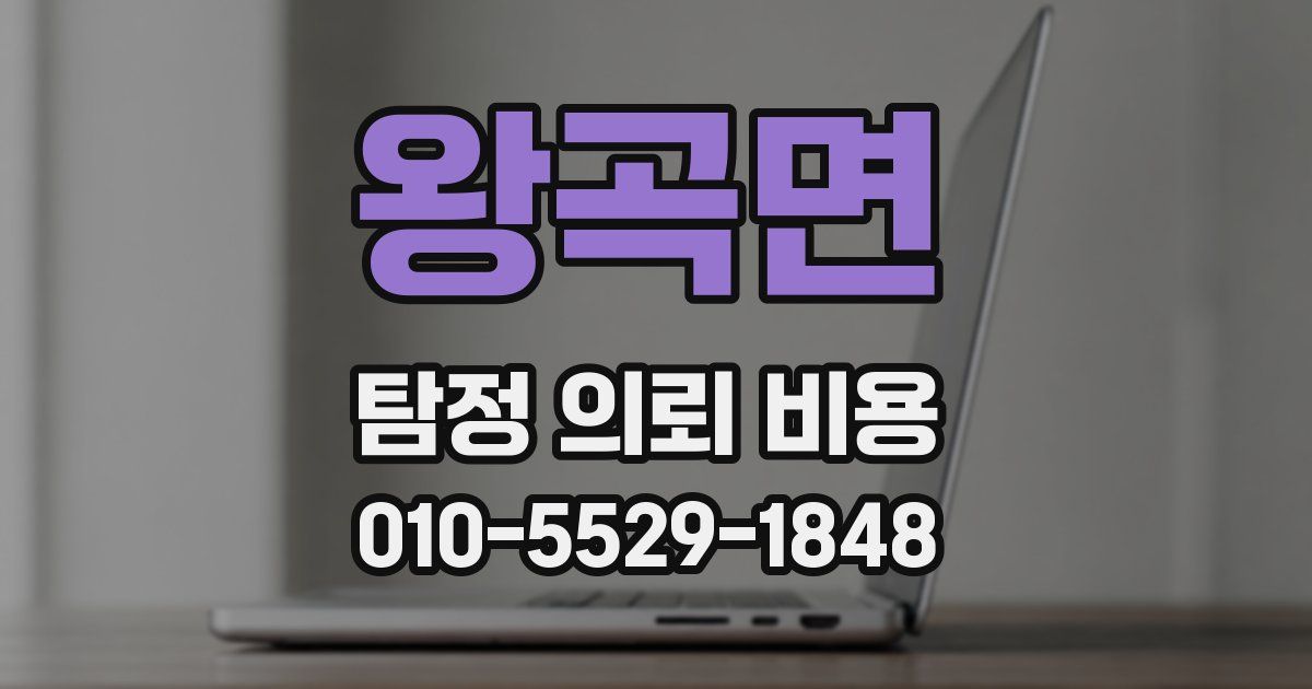 왕곡면 탐정 의뢰 비용
