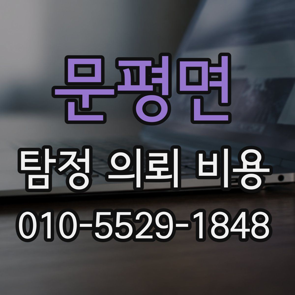 문평면 탐정 의뢰 비용