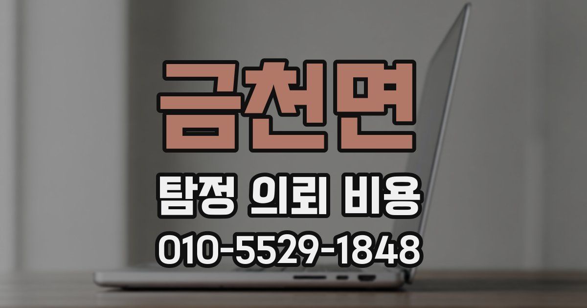 금천면 탐정 의뢰 비용