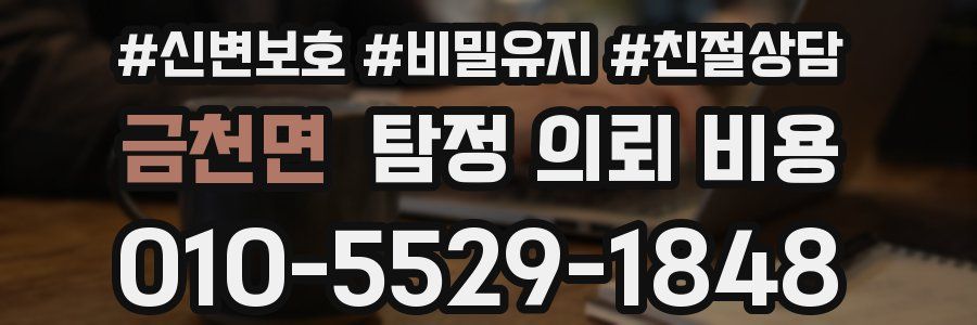금천면 탐정 의뢰 비용