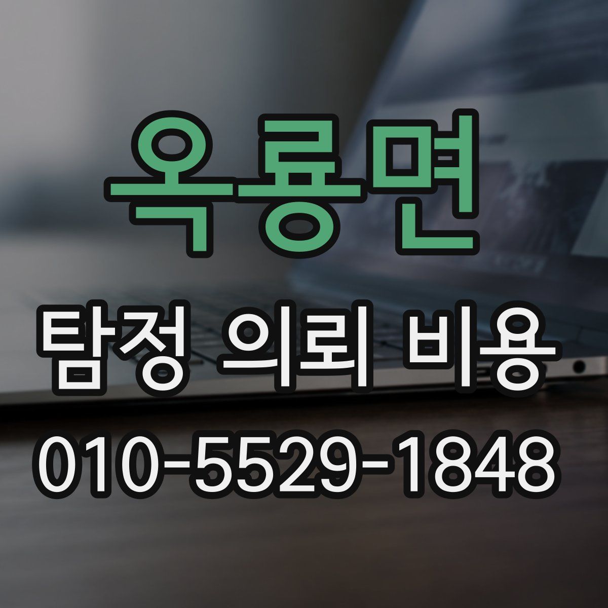 옥룡면 탐정 의뢰 비용