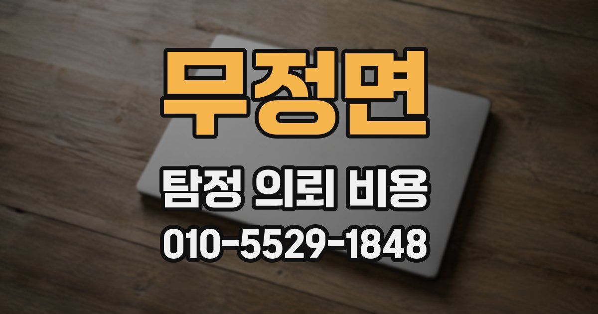 무정면 탐정 의뢰 비용