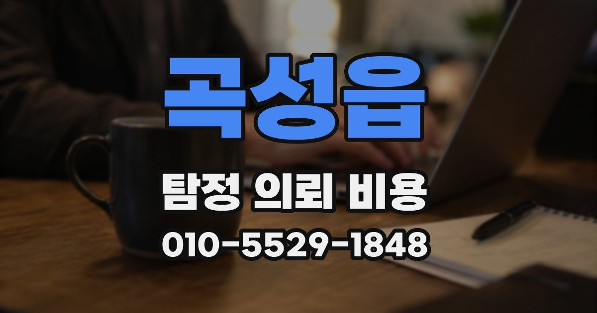 곡성읍 탐정 의뢰 비용