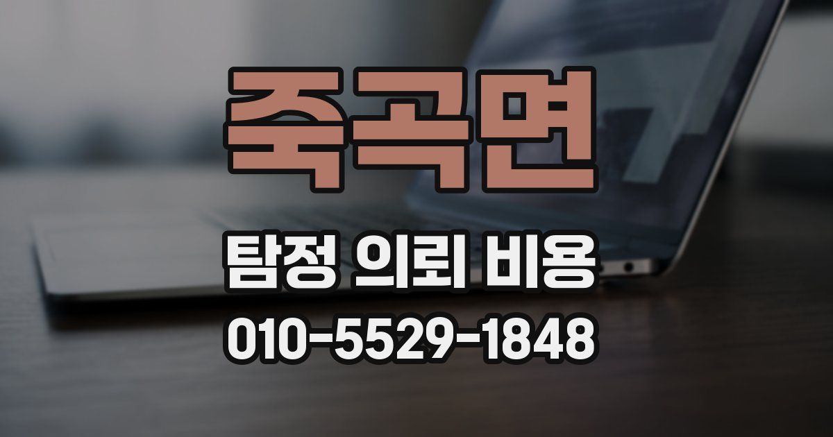 죽곡면 탐정 의뢰 비용