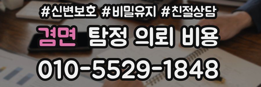 겸면 탐정 의뢰 비용