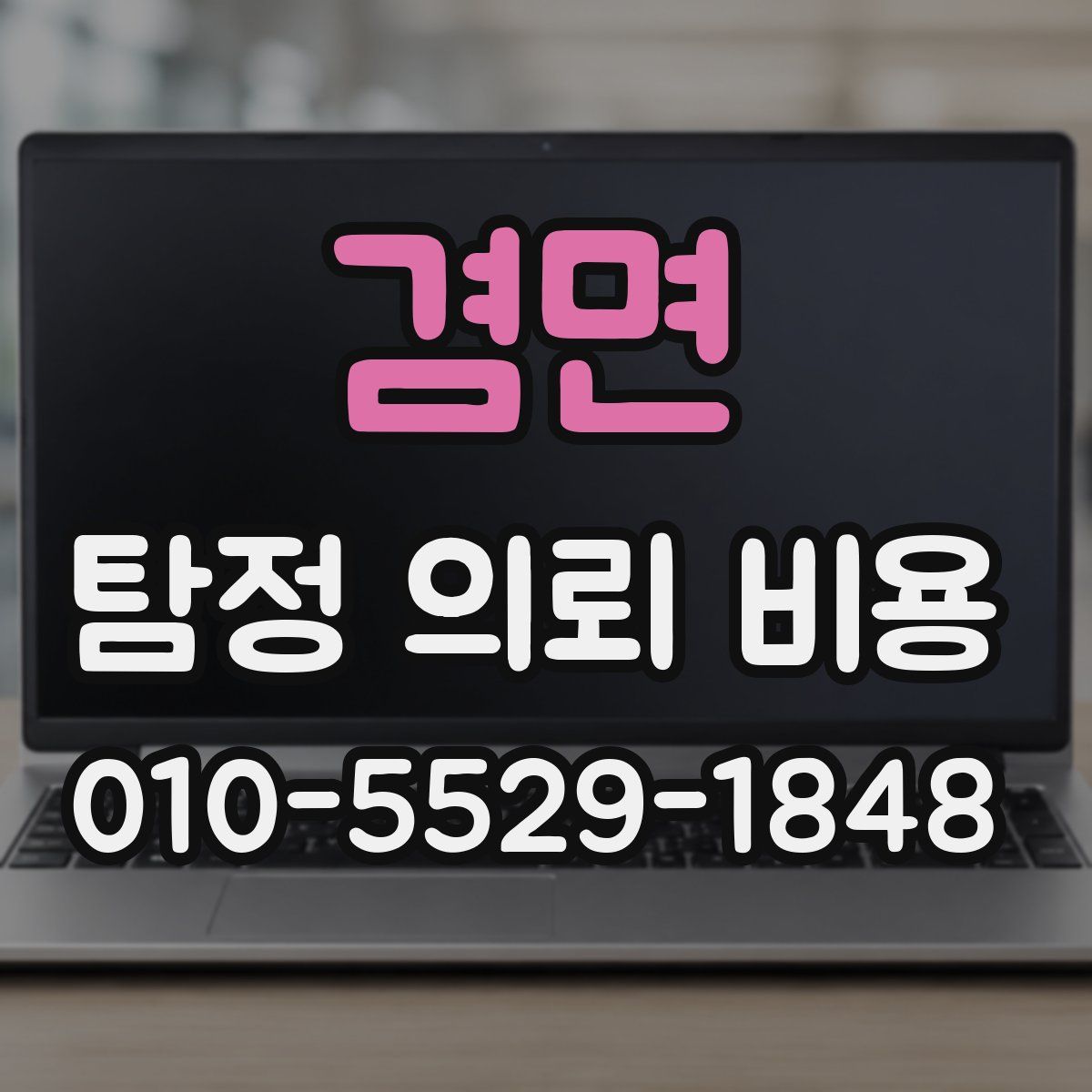 겸면 탐정 의뢰 비용