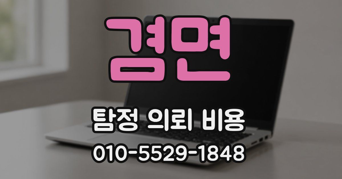 겸면 탐정 의뢰 비용