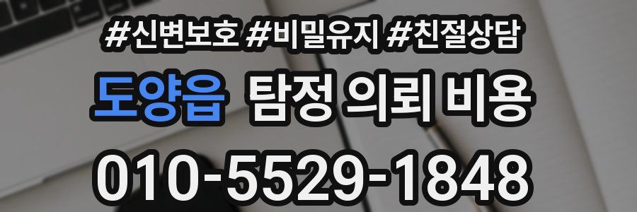 도양읍 탐정 의뢰 비용