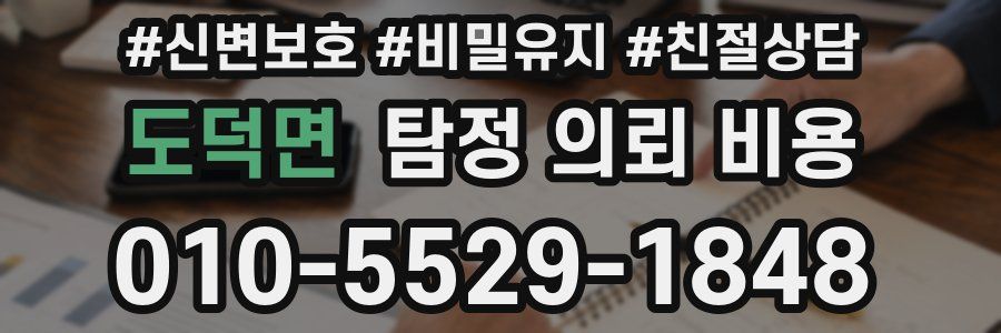 도덕면 탐정 의뢰 비용