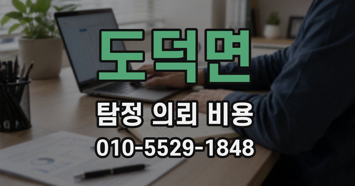 도덕면 탐정 의뢰 비용