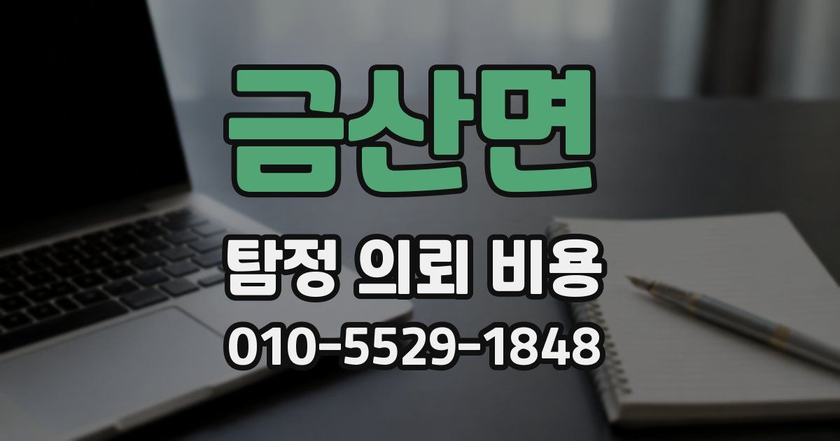 금산면 탐정 의뢰 비용