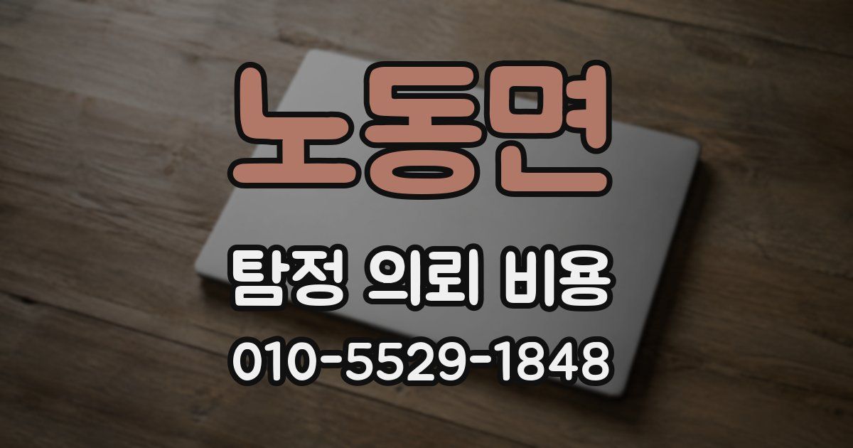 노동면 탐정 의뢰 비용
