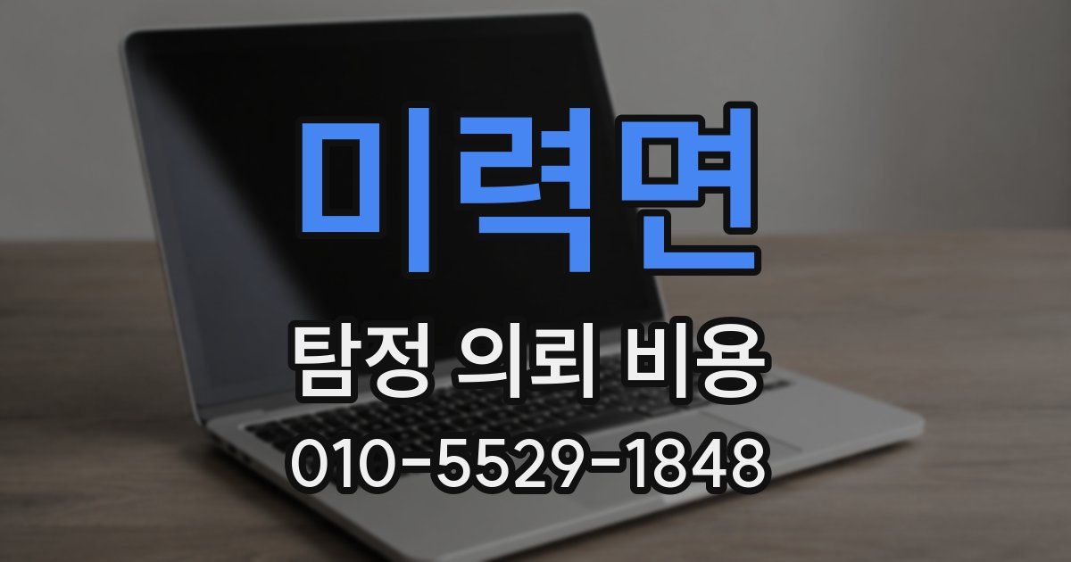 미력면 탐정 의뢰 비용