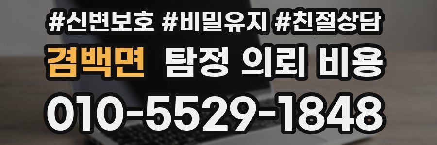 겸백면 탐정 의뢰 비용