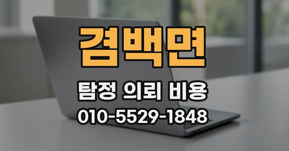 겸백면 탐정 의뢰 비용