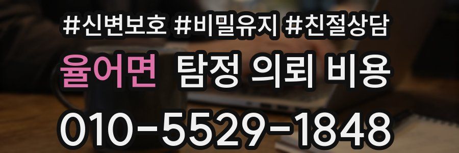 율어면 탐정 의뢰 비용