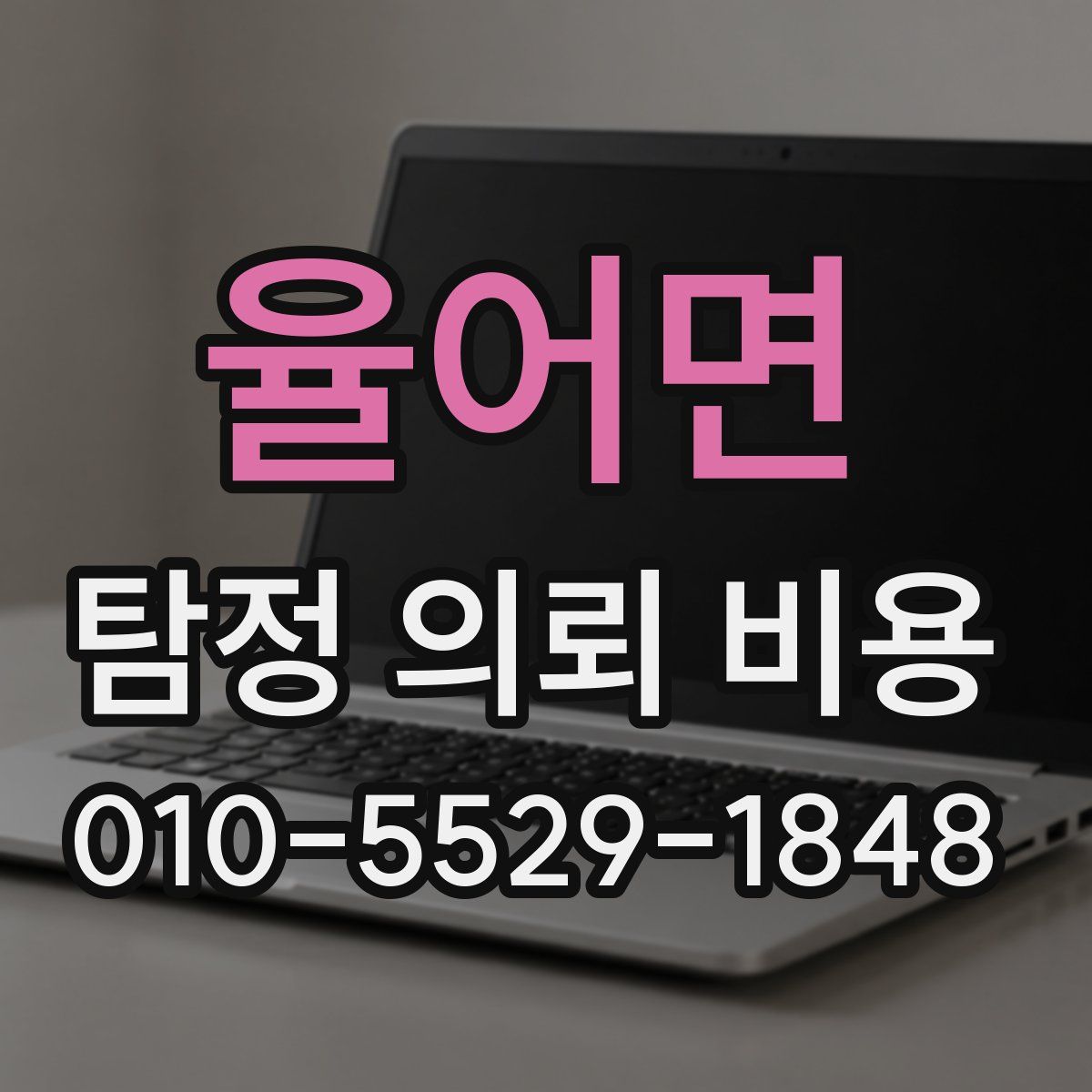 율어면 탐정 의뢰 비용