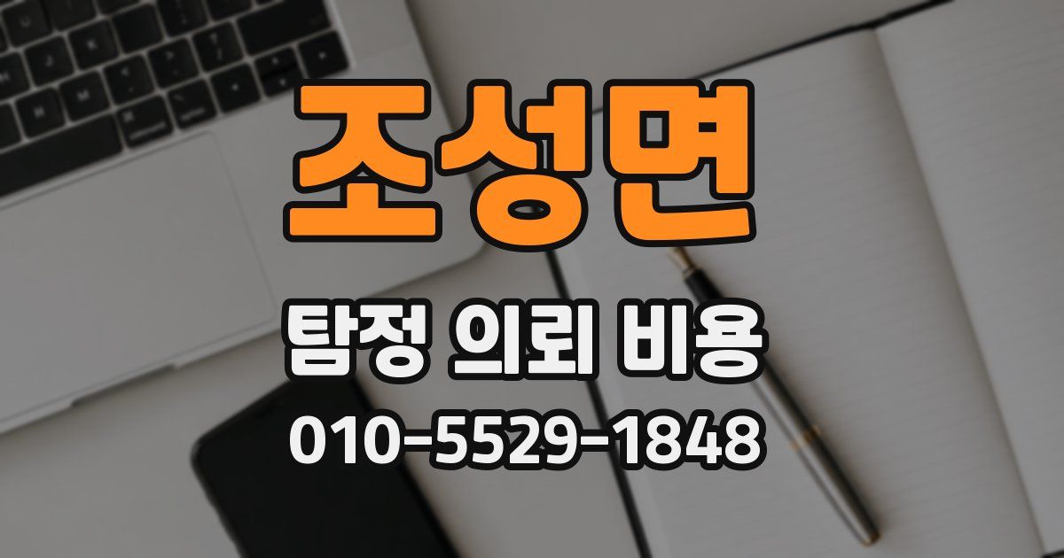 조성면 탐정 의뢰 비용