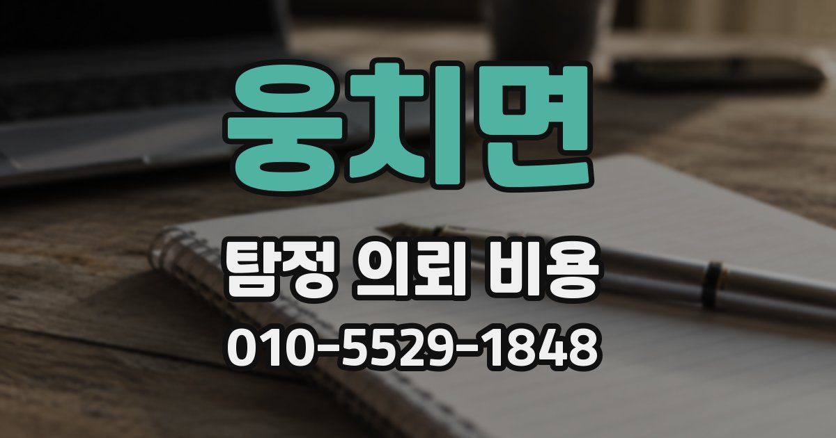 웅치면 탐정 의뢰 비용