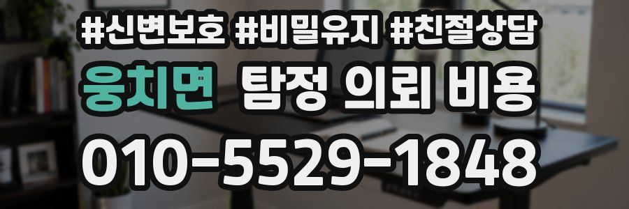 웅치면 탐정 의뢰 비용