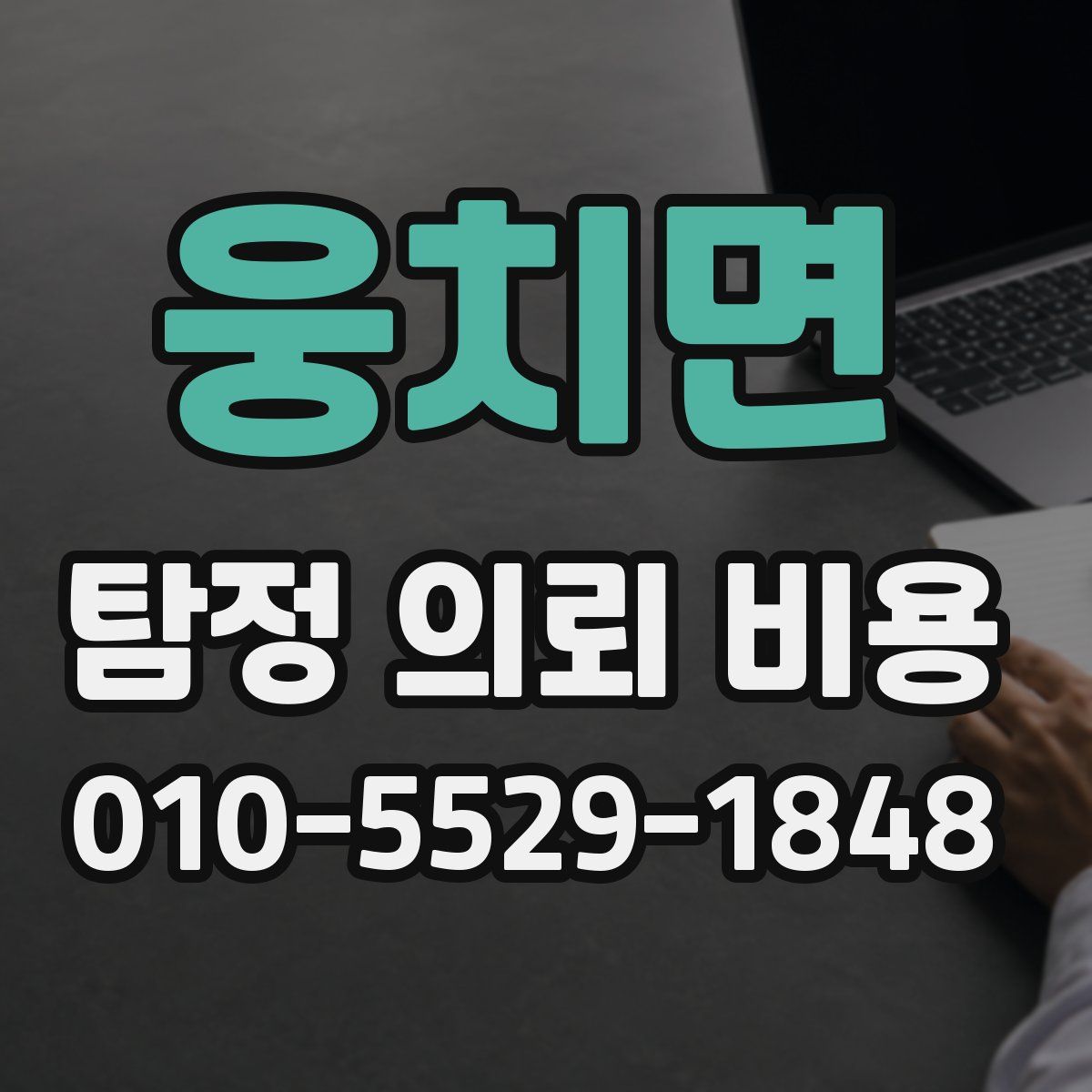 웅치면 탐정 의뢰 비용