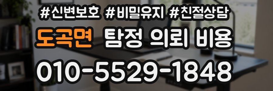 도곡면 탐정 의뢰 비용