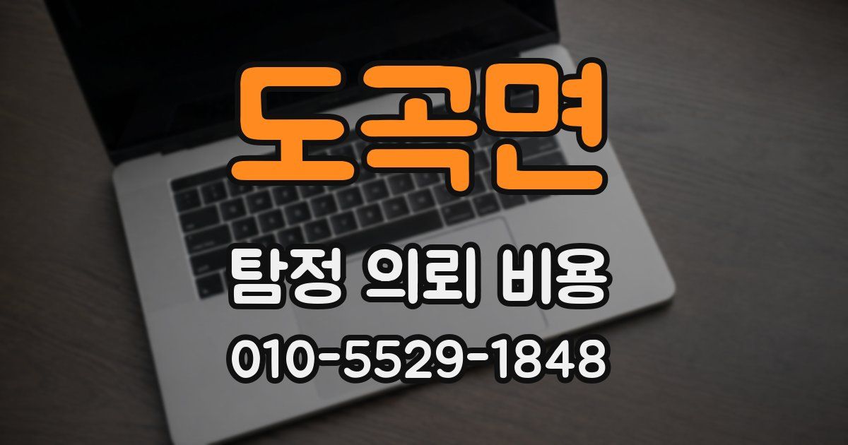 도곡면 탐정 의뢰 비용
