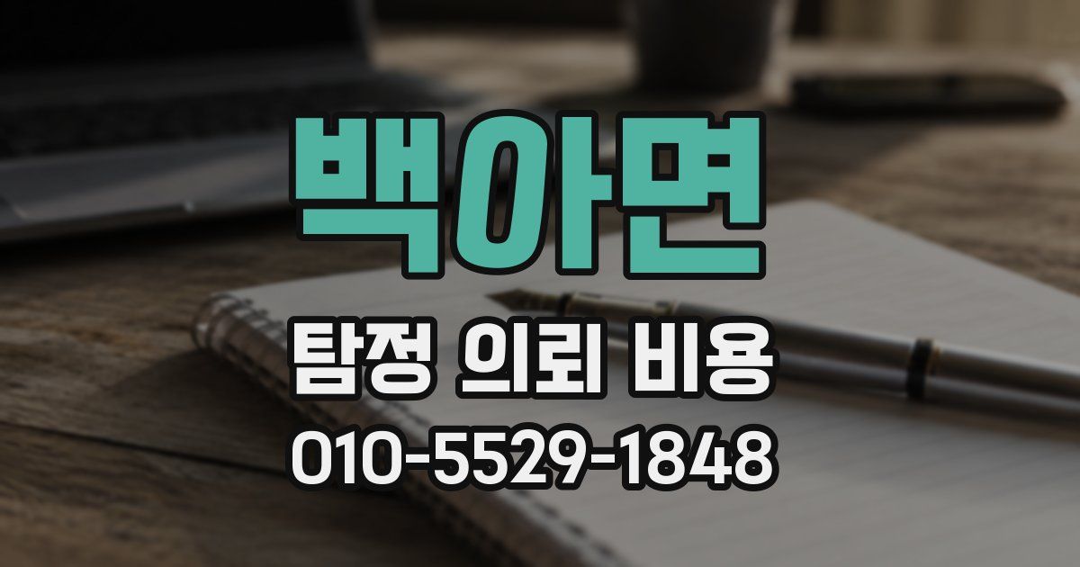 백아면 탐정 의뢰 비용