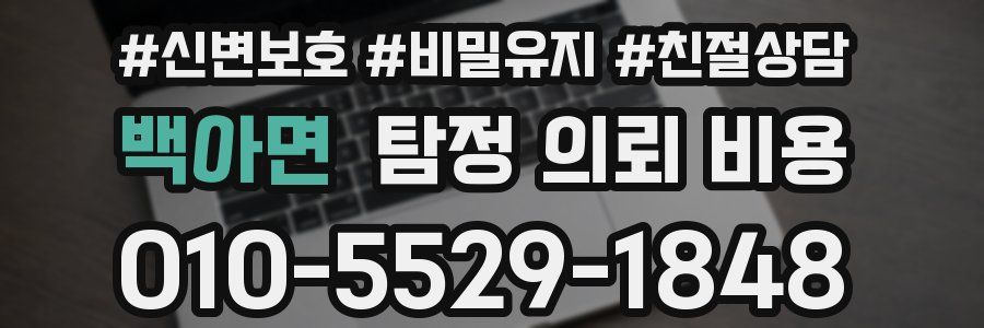 백아면 탐정 의뢰 비용