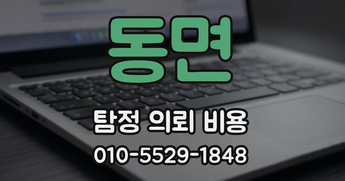 동면 탐정 의뢰 비용