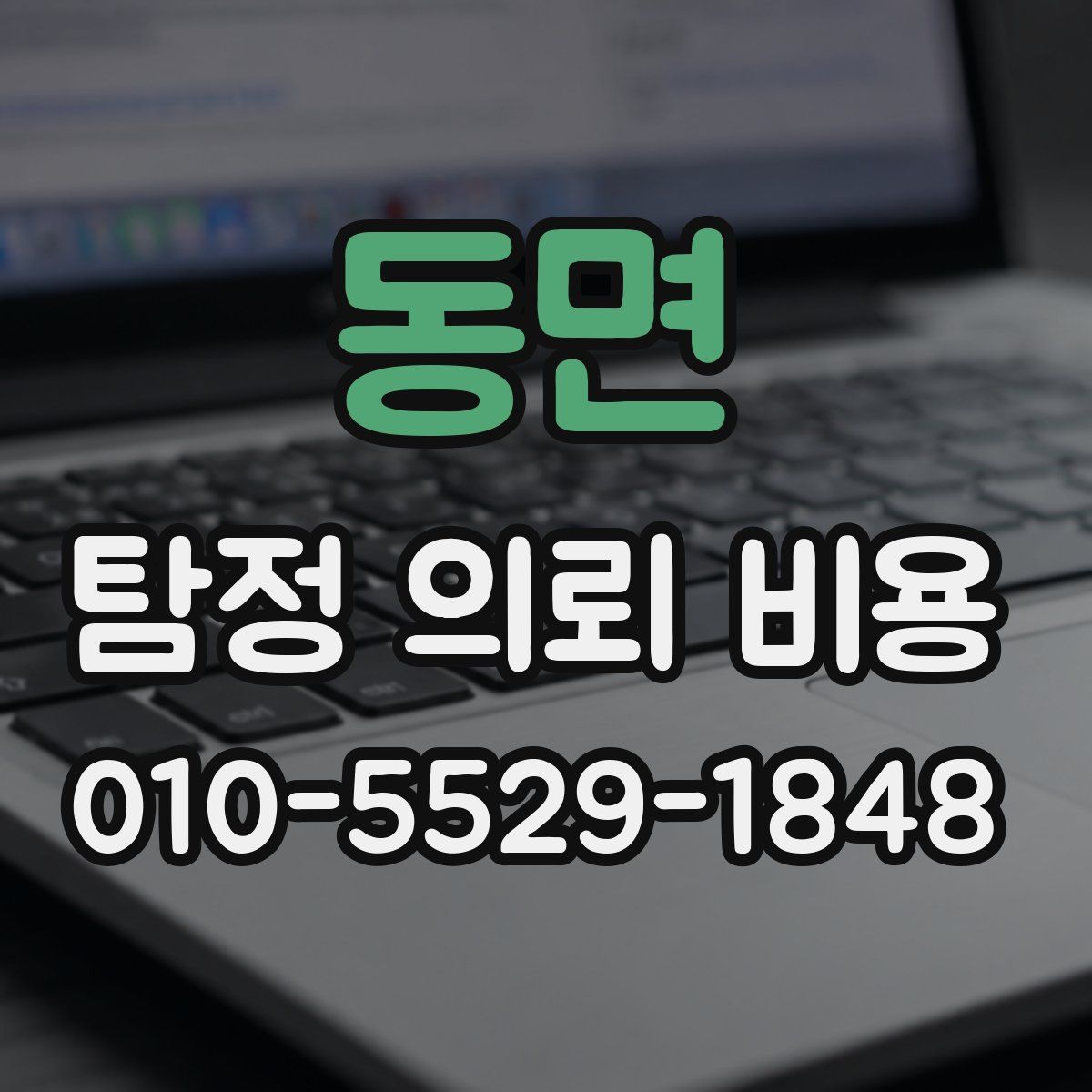 동면 탐정 의뢰 비용