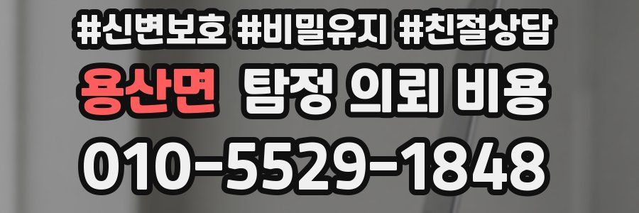 용산면 탐정 의뢰 비용