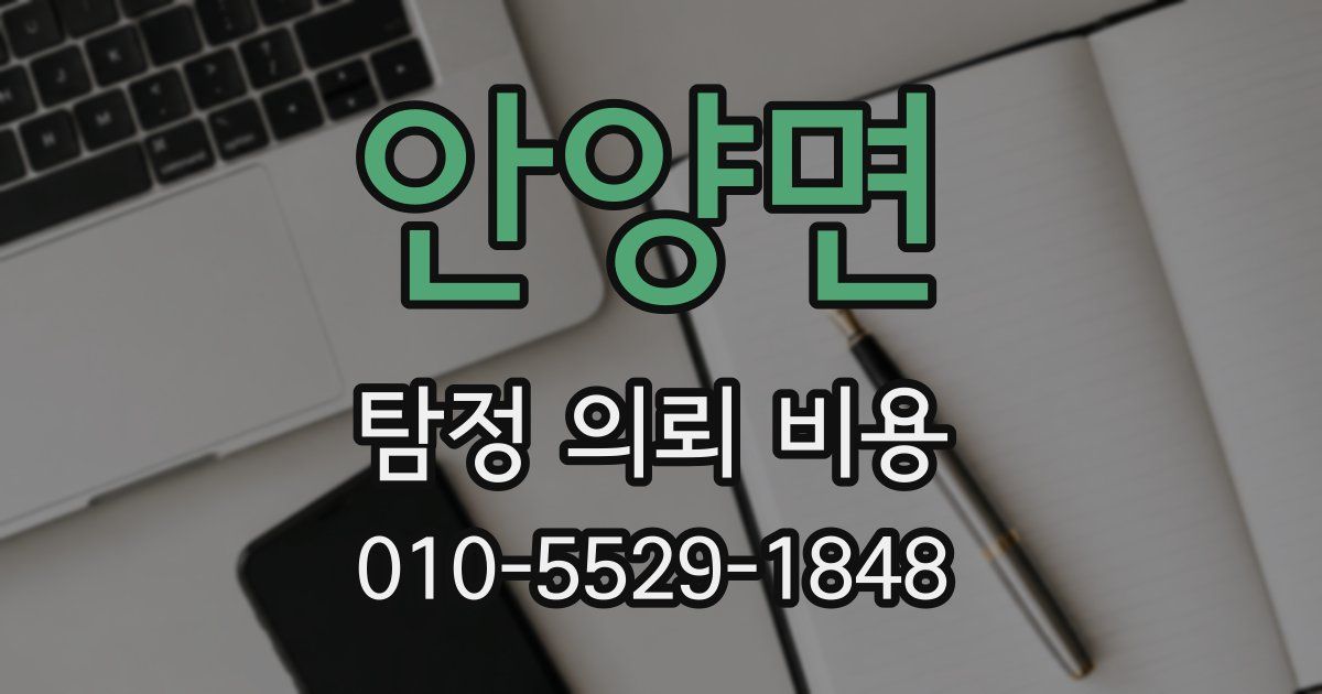 안양면 탐정 의뢰 비용